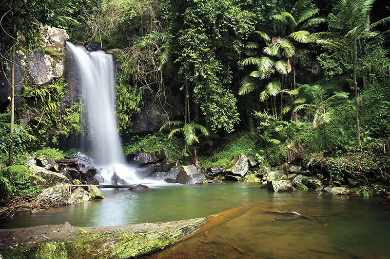 tamborine mountain